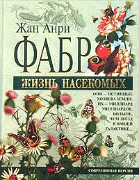 Жизнь насекомых