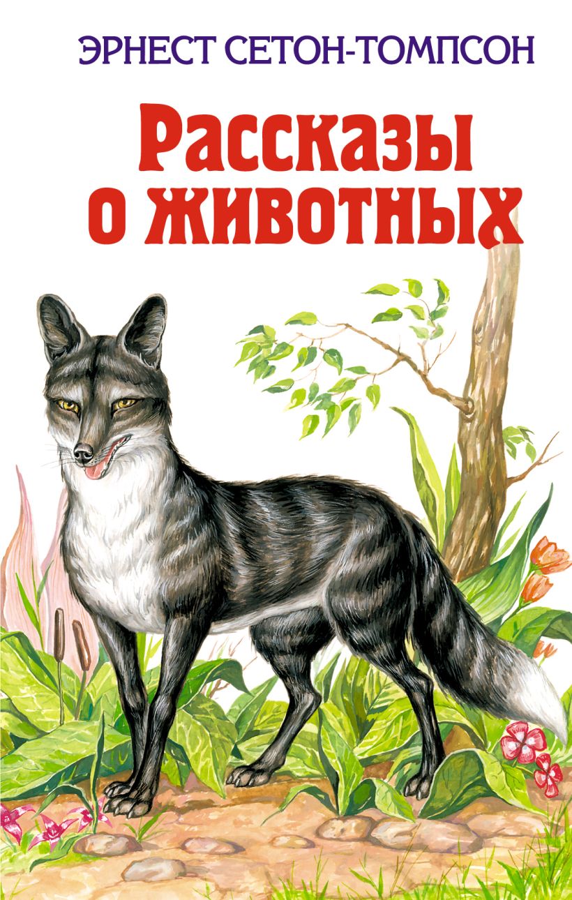 Книга о животных с картинками