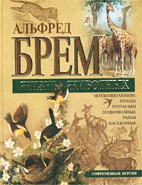 

Жизнь животных