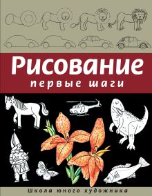 Рисование. Первые шаги