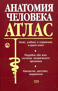 Анатомия человека: Атлас Анатомия человека: Атлас Боянович Ю.В., Балакирев Н.П.