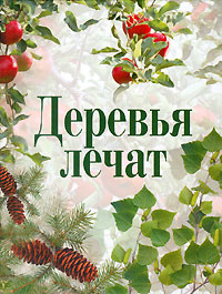 Деревья лечат Деревья лечат