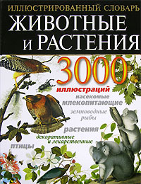 Животные и растения. Иллюстрированный энциклопедический словарь Животные и растения. Иллюстрированный энциклопедический словарь