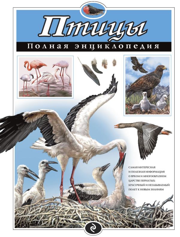 Zakazat.ru: Птицы. Полная энциклопедия. Школьник Юлия Константиновна