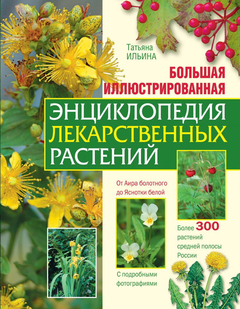 Лекарственные травы татарстана с картинками и названиями