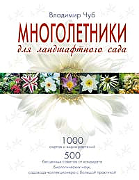 Многолетники для ландшафтного сада