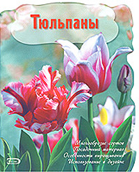 Тюльпаны Тюльпаны