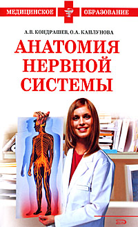 Анатомия нервной системы Анатомия нервной системы Кондрашев А.В., Каплунова О.А.