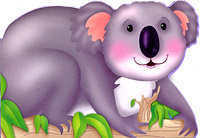Коала-соня Коала-соня