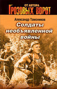 Солдаты необъявленной войны: роман