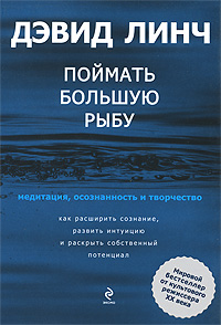 Поймать большую рыбу: медитация, осознанность и творчество