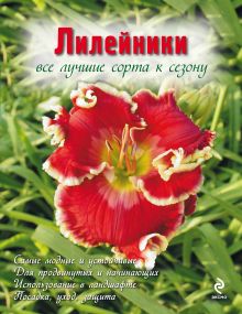 Лилейники. Все лучшие сорта к сезону (Вырубка. Цветы в саду и на окне)