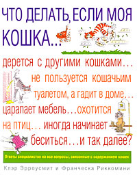 Что делать, если моя кошка...