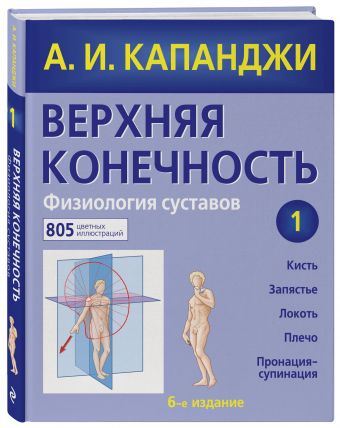 

Верхняя конечность. Физиология суставов