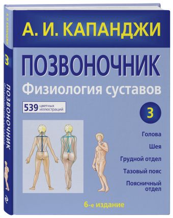 Позвоночник: Физиология суставов Позвоночник: Физиология суставов Капанджи А.И.