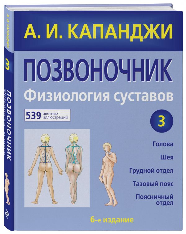 Позвоночник: Физиология суставов Позвоночник: Физиология суставов Капанджи А.И.