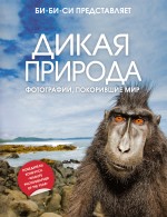 Дикая природа: фотографии, покорившие мир