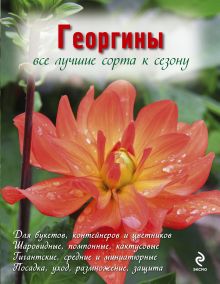 Георгины (Вырубка. Цветы в саду и на окне)