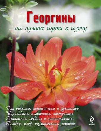 Георгины (Вырубка. Цветы в саду и на окне) Георгины (Вырубка. Цветы в саду и на окне) Рубинина А.Е.