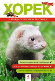 Хорек. Все о покупке, уходе и содержании