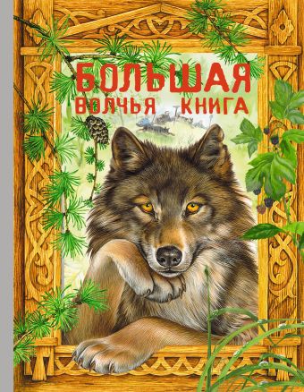 Большая волчья книга: сказки Большая волчья книга: сказки
