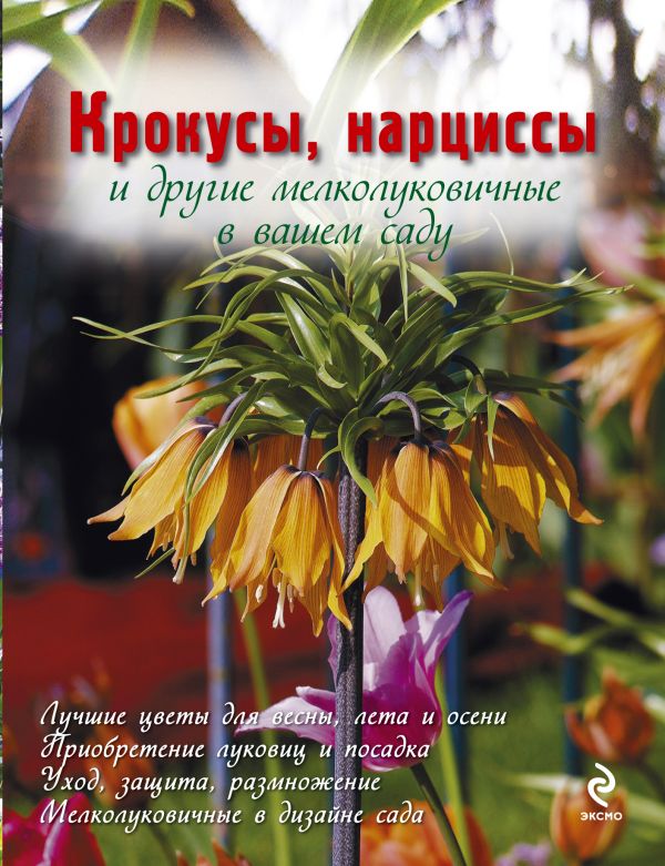 Крокусы, нарциссы и другие мелколуковичные цветы в вашем саду Крокусы, нарциссы и другие мелколуковичные цветы в вашем саду Попова Ю.Г.