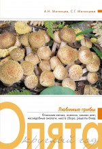 Опята круглый год Опята круглый год Матанцев А.Н., Матанцева С.Г.