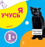 Цвет Цвет