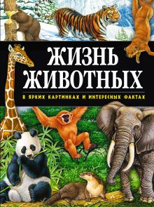 Жизнь животных в ярких картинках и интересных фактах