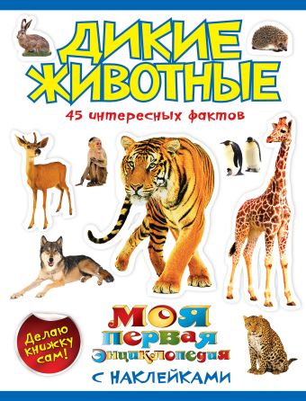 Дикие животные Дикие животные