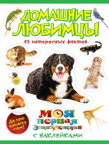 Домашние любимцы