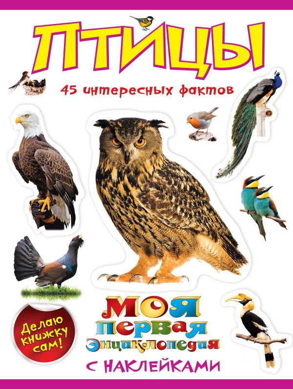 Птицы Птицы