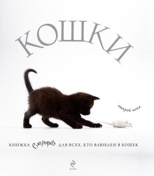 Кошки. Подарок для всех, кто влюблен в кошек