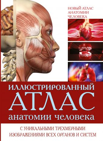 Уолкер Ричард Иллюстрированный атлас анатомии человека колдуэлл рейчел уолкер ричард тело человека интерактивная книга панорама