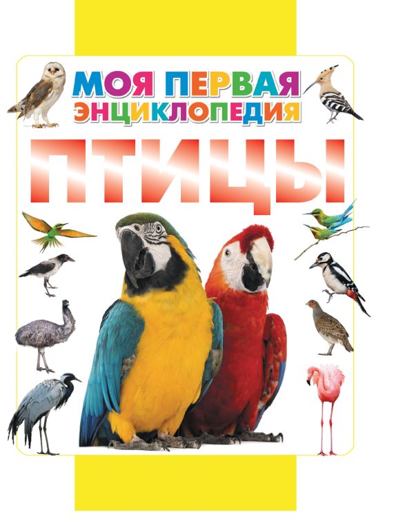 Птицы Птицы Кошевар Д.В.