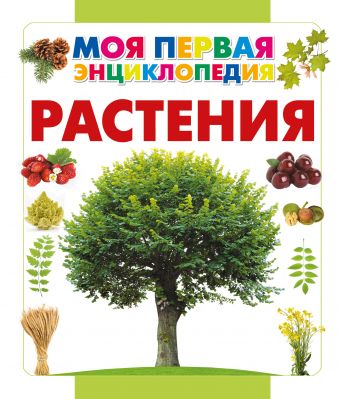 

Растения