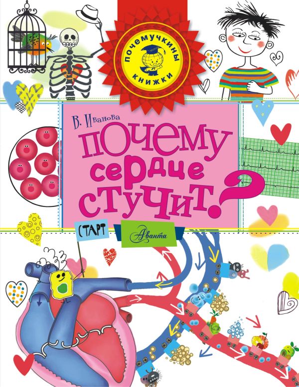 Почему сердце стучит? Почему сердце стучит? Иванова В.В.