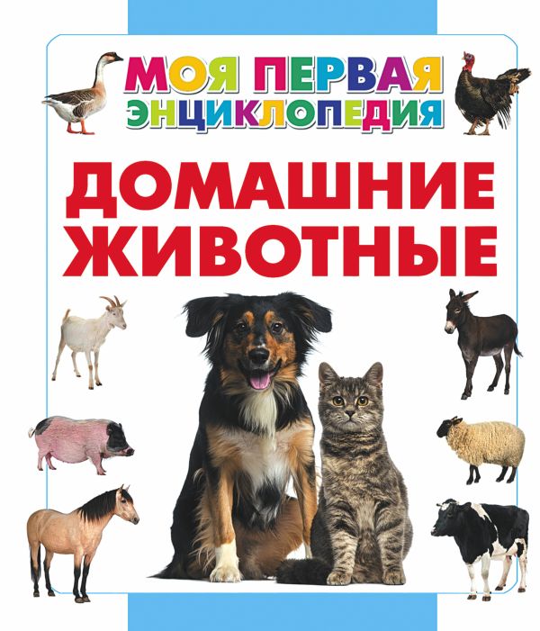 Домашние животные Домашние животные Спектор А.А.