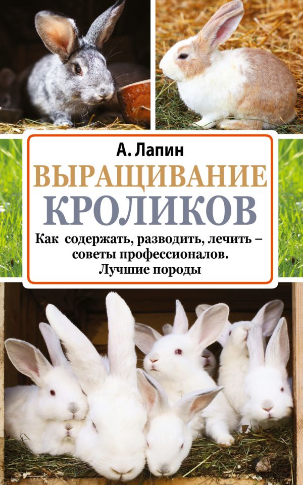 Выращивание кроликов Выращивание кроликов Лапин А.О.