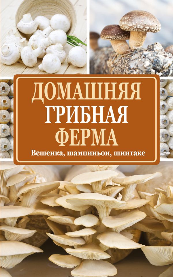 Домашняя грибная ферма Домашняя грибная ферма Богданова Н.Е.