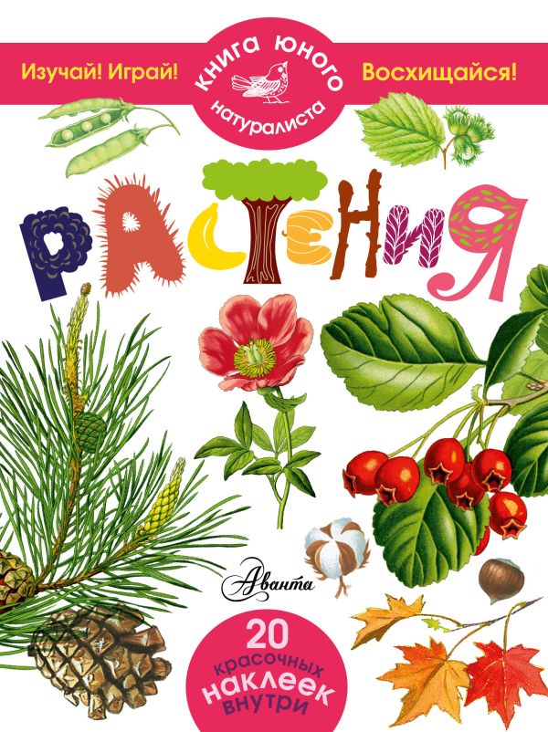 Растения Растения .