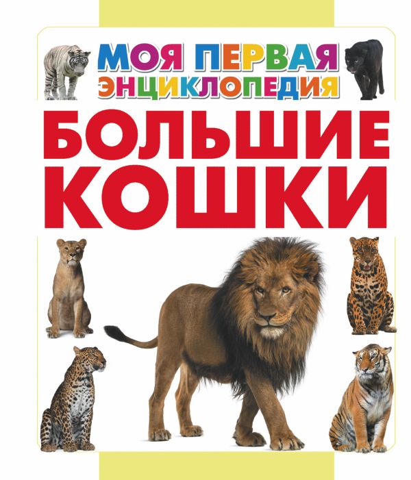 Большие кошки Большие кошки Спектор А.А.