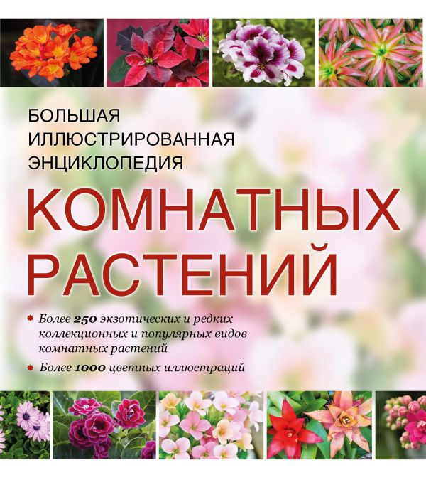 Большая иллюстрированная энциклопедия комнатных растений Большая иллюстрированная энциклопедия комнатных растений