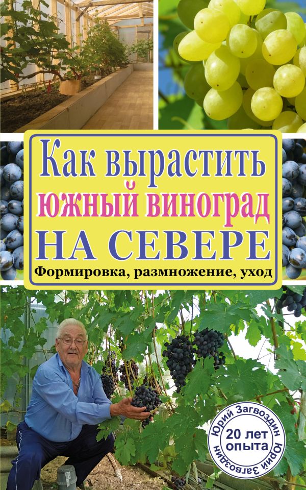Как вырастить южный виноград на севере Как вырастить южный виноград на севере Загвоздин Ю.М.