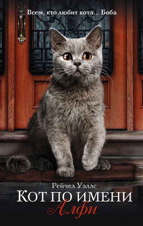 Кот по имени Алфи Кот по имени Алфи Уэллс Рейчел