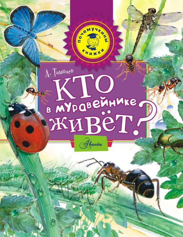 Кто в муравейнике живет? Кто в муравейнике живет? Тамбиев А.Х.