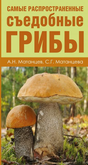 Самые распространенные съедобные грибы Самые распространенные съедобные грибы Матанцев А.Н., Матанцева С.Г.