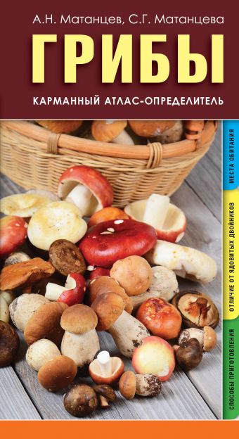 Грибы. Карманный атлас-определитель Грибы. Карманный атлас-определитель Матанцев А.Н., Матанцева С.Г.
