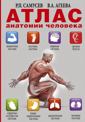 Атлас анатомии человека Атлас анатомии человека Самусев Р.П.