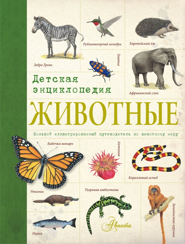 Животные. Детская энциклопедия Животные. Детская энциклопедия Волцит П.М., Степанова Л.В.